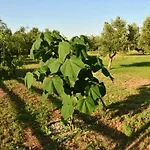 Tenuta Corano ファームステイ ナルド