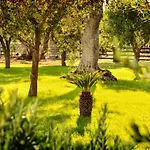 Tenuta Corano