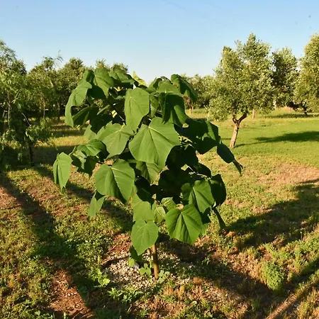 Tenuta Corano Alojamento de Turismo Rural Nardò