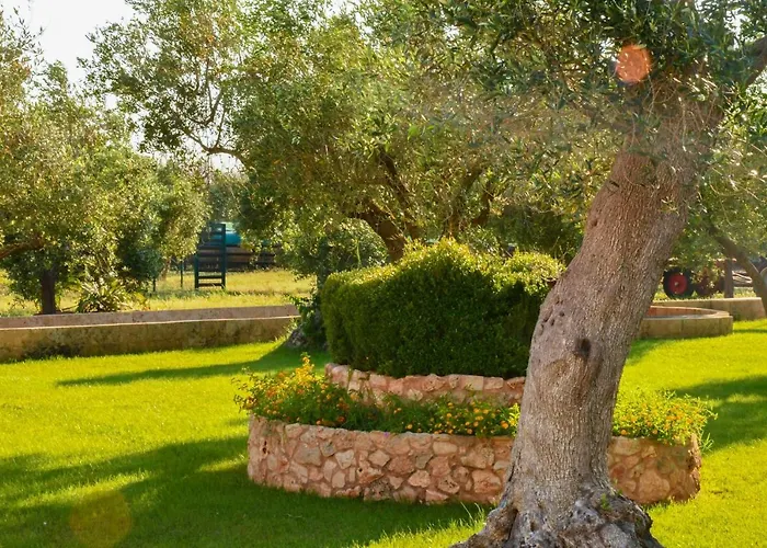 Tenuta Corano 农家乐 Nardò